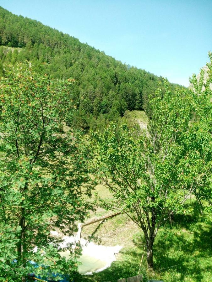 Chalet Lou Bella Vista Auron Dış mekan fotoğraf